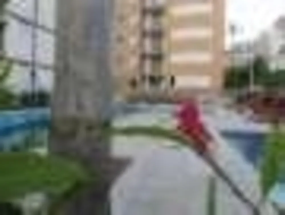 Apartamento, 3 quartos, 70 m² - Foto 9