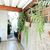 Casa, 2 quartos, 96 m² - Foto 3