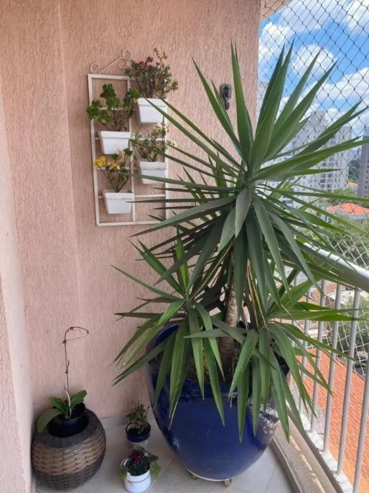 Apartamento, 3 quartos, 73 m² - Foto 8
