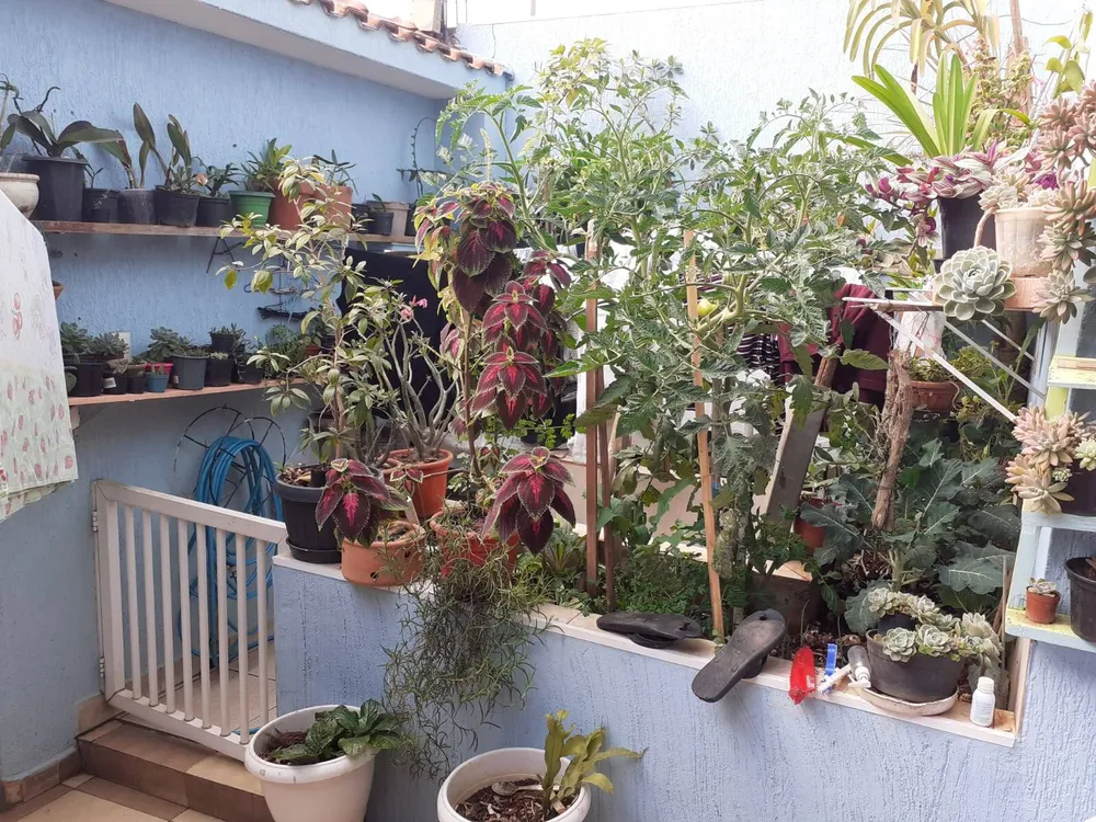 Casa, 3 quartos, 170 m² - Foto 7