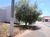 Terreno, 204 m² - Foto 3