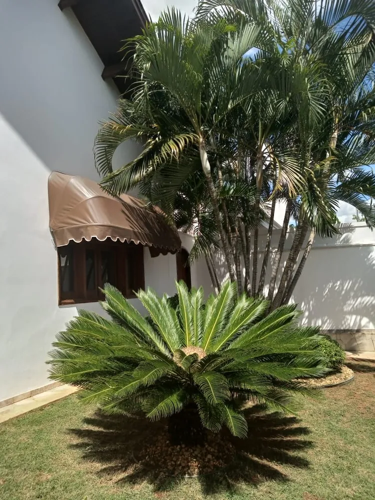 Casa, 4 quartos, 450 m² - Foto 7