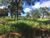 Terreno, 500 m² - Foto 4