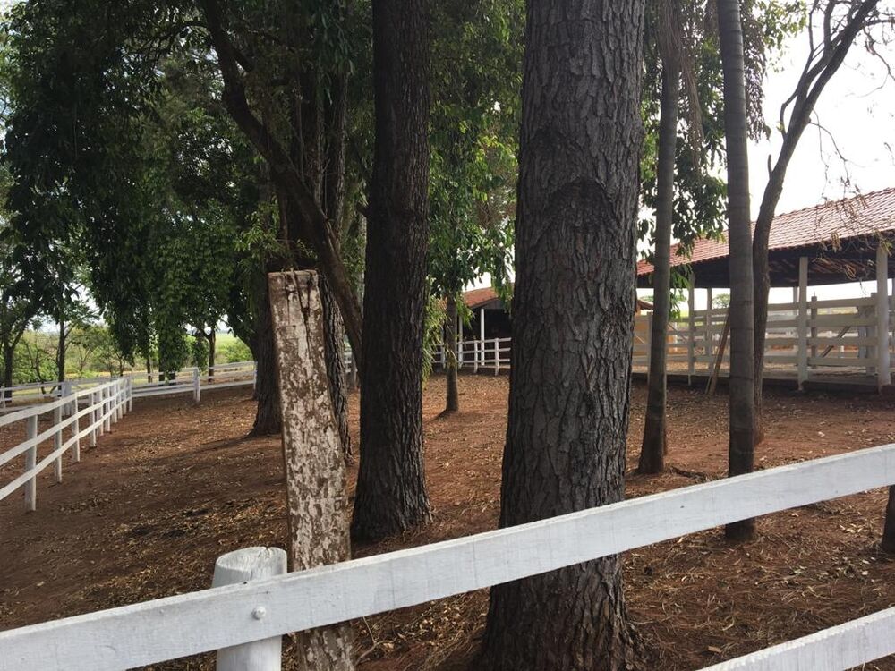 Sítio, 3 quartos, 3 hectares - Foto 8