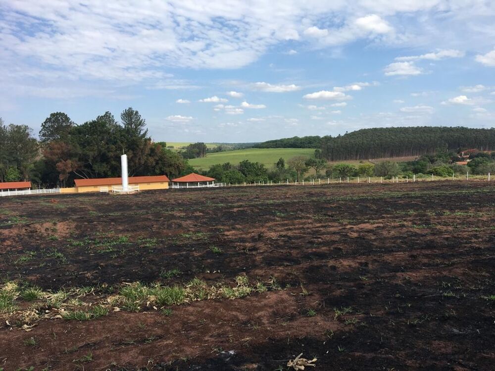 Sítio, 3 quartos, 3 hectares - Foto 15