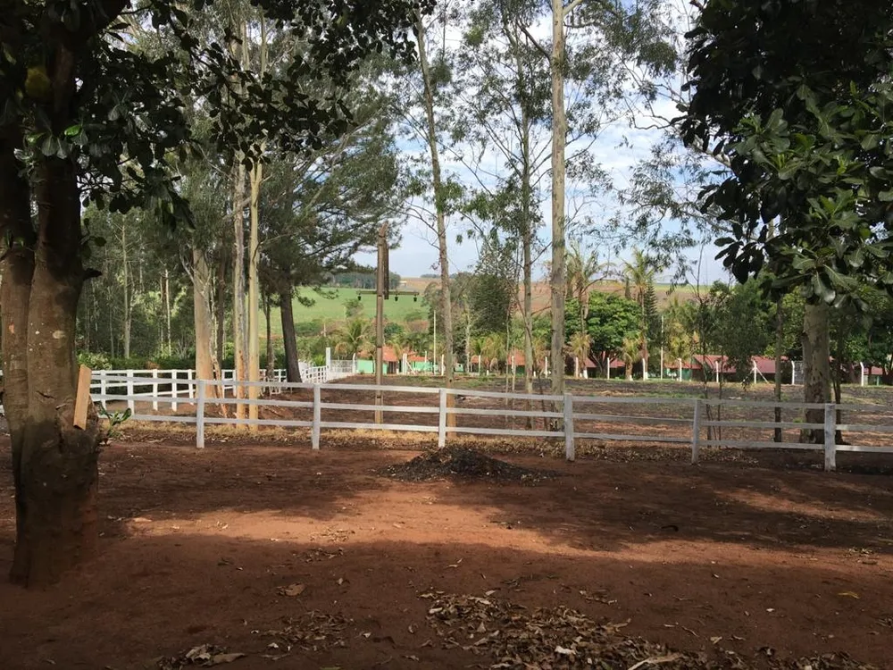 Sítio, 3 quartos, 3 hectares - Foto 7