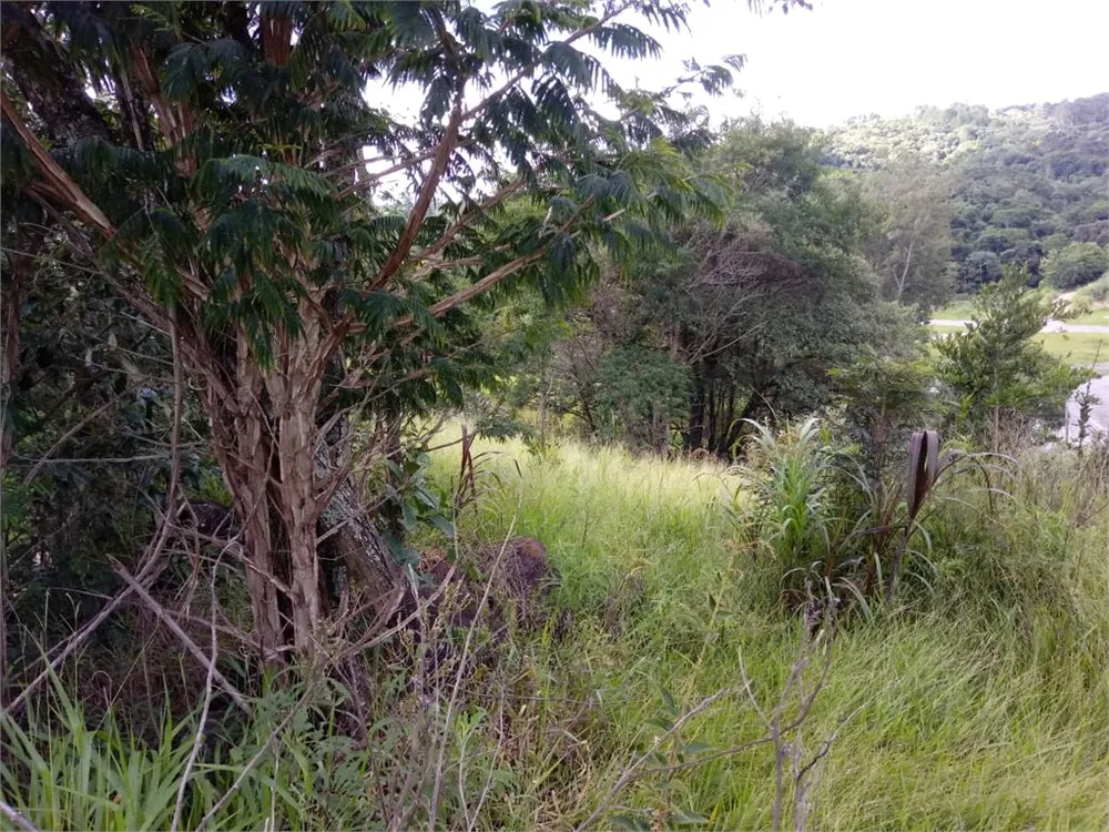 Loteamento e Condomínio, 2000 m² - Foto 6