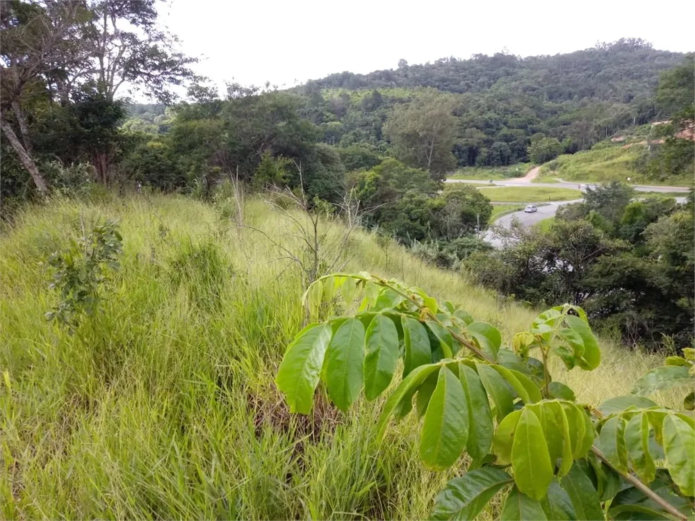 Loteamento e Condomínio, 2000 m² - Foto 1