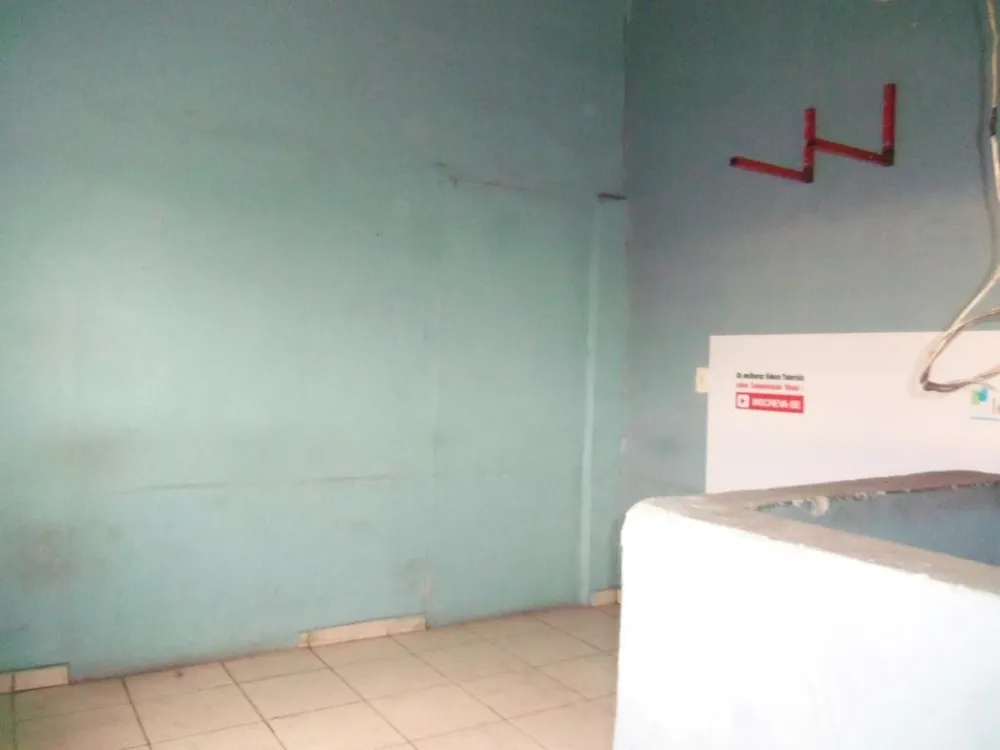 Casa, 3 quartos, 520 m² - Foto 5