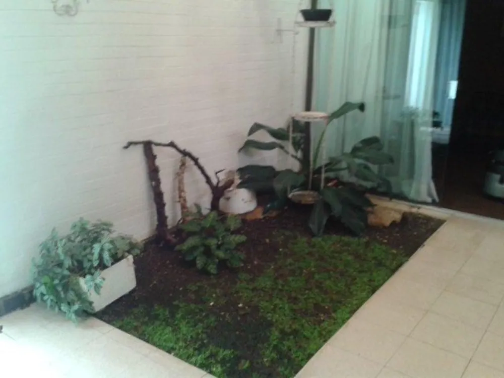 Terreno, 360 m² - Foto 3