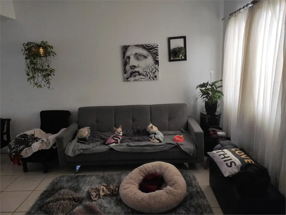 Casa, 3 quartos, 100 m² - Foto 3