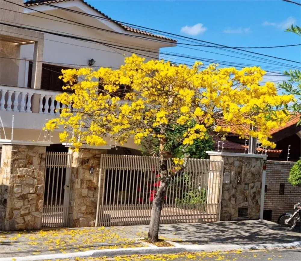 Casa, 3 quartos, 380 m² - Foto 7