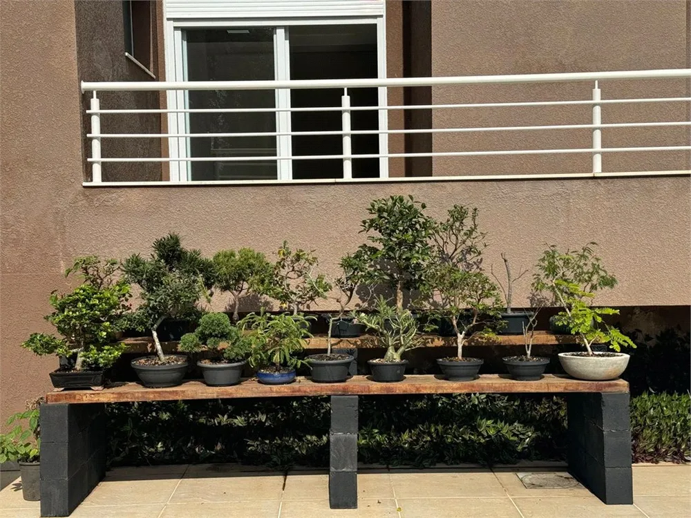 Casa, 3 quartos, 380 m² - Foto 4