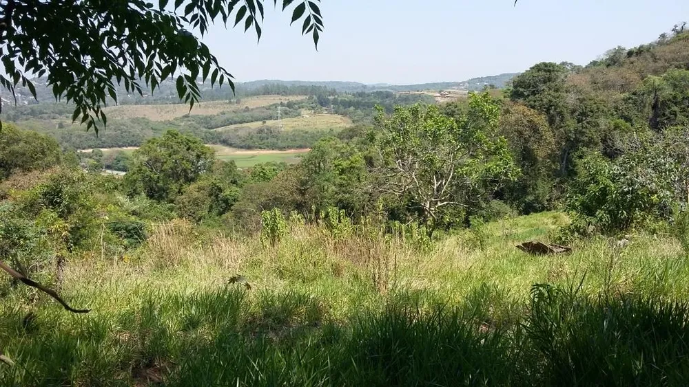 Terreno, 5500 m² - Foto 1