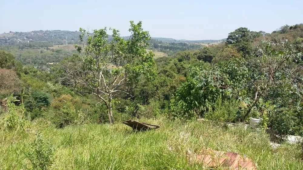 Terreno, 5500 m² - Foto 3