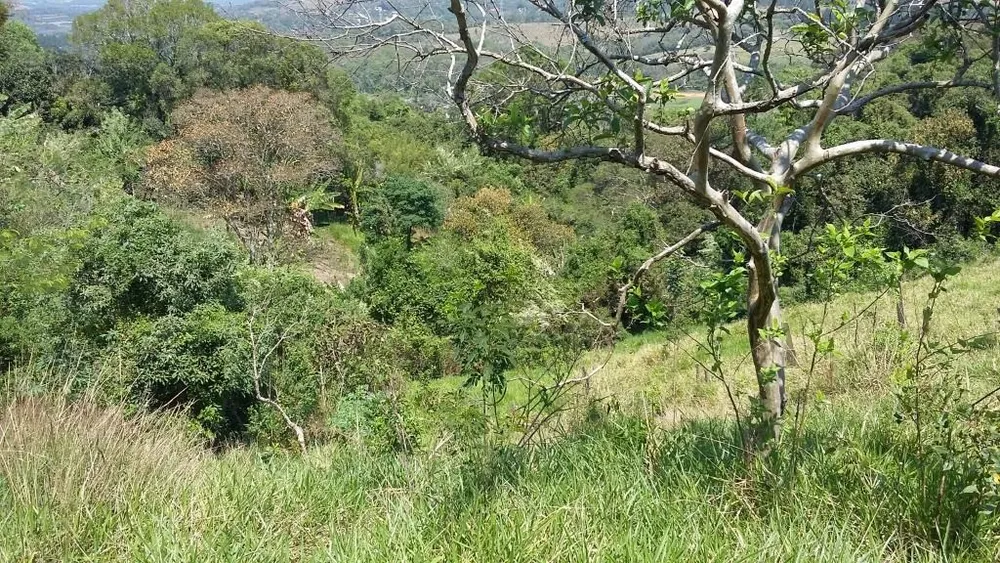Terreno, 5500 m² - Foto 8
