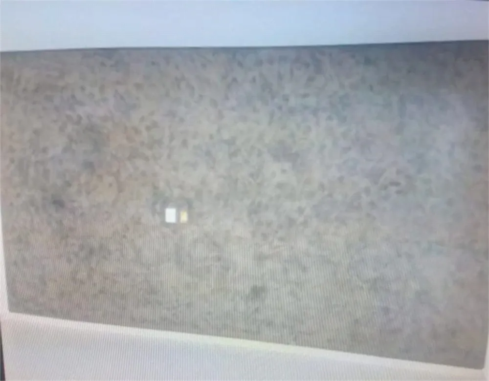 Casa, 3 quartos, 244 m² - Foto 4