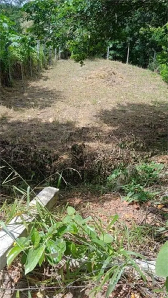 Terreno, 120 m² - Foto 8