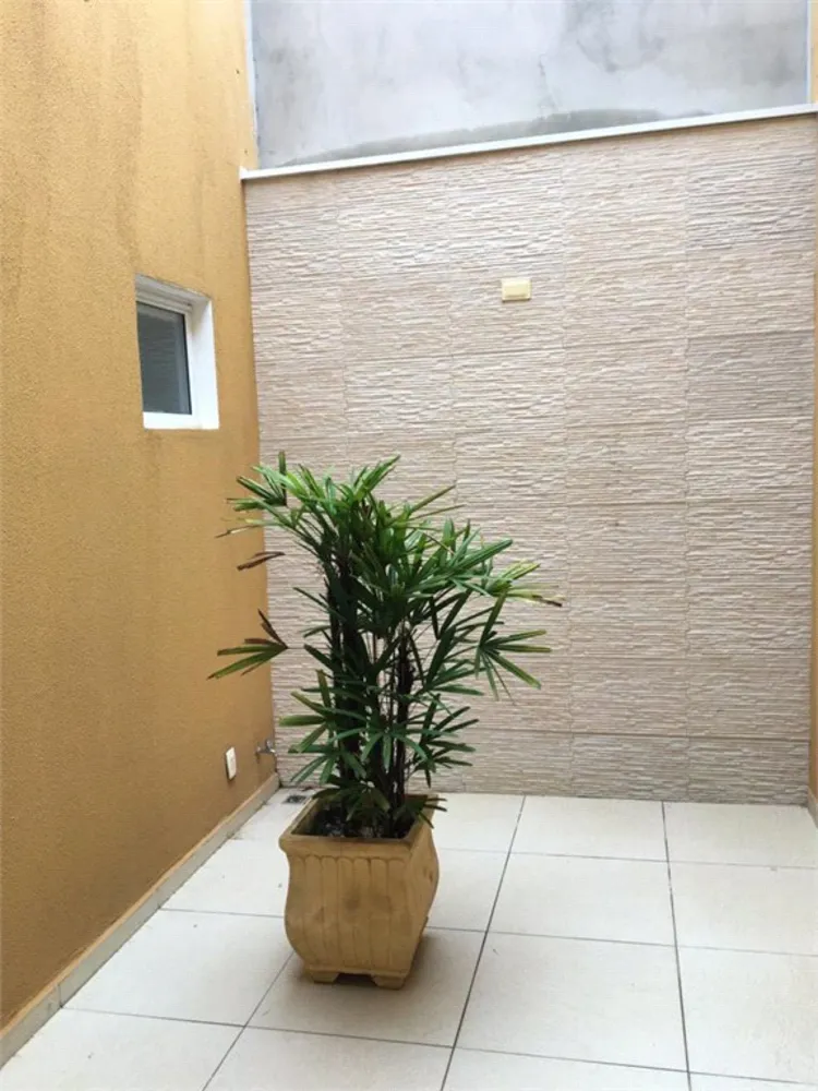 Casa, 3 quartos, 300 m² - Foto 4