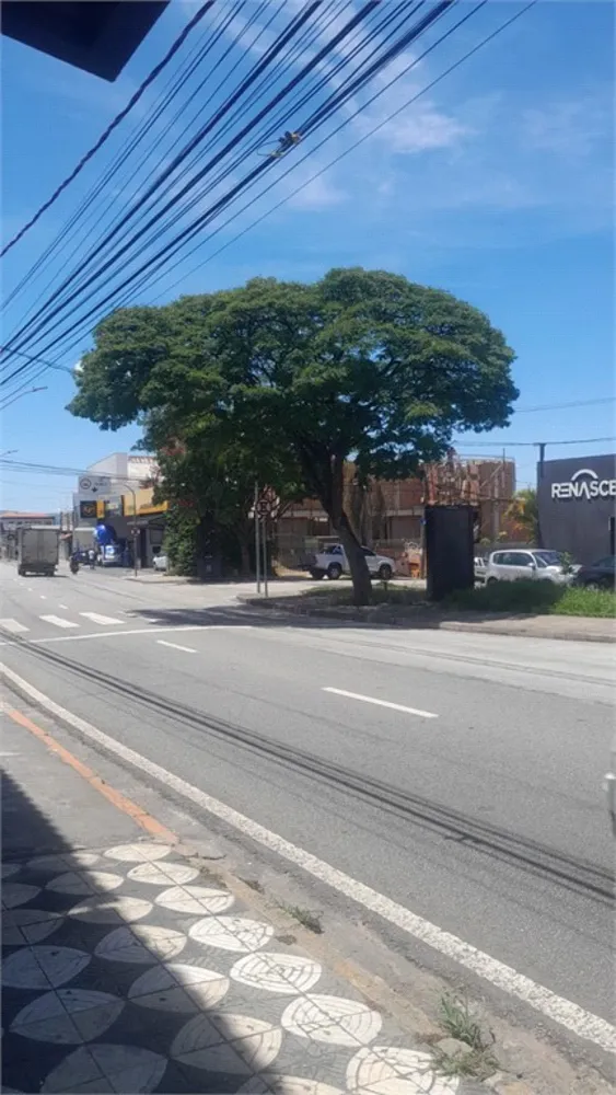 Casa, 4 quartos, 220 m² - Foto 7