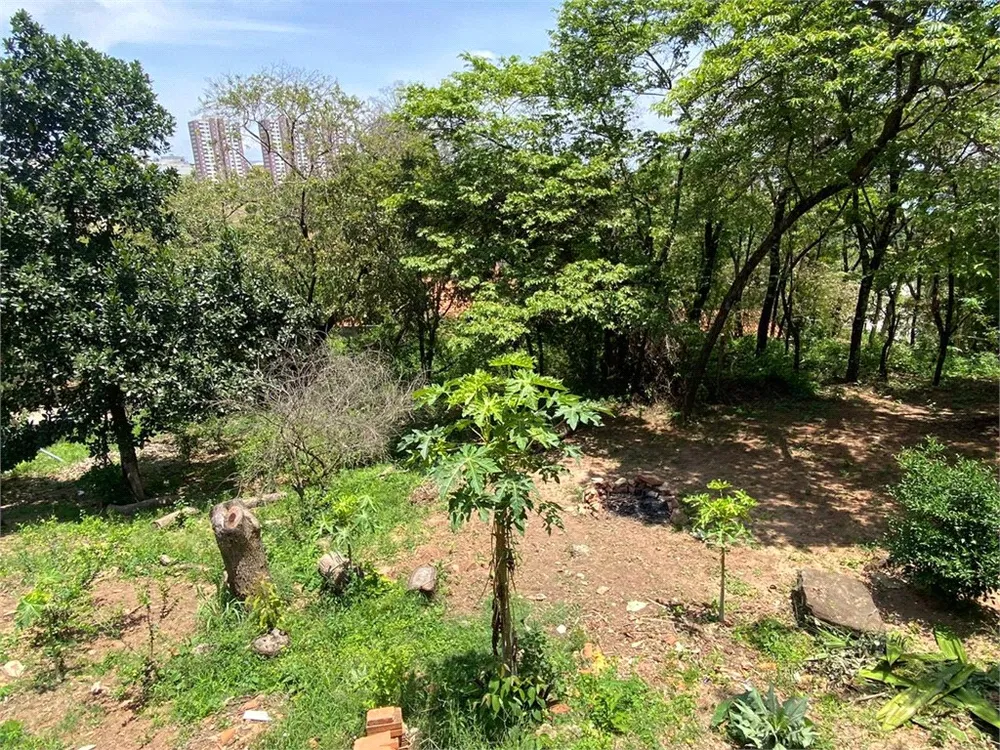 Terreno, 2444 m² - Foto 1