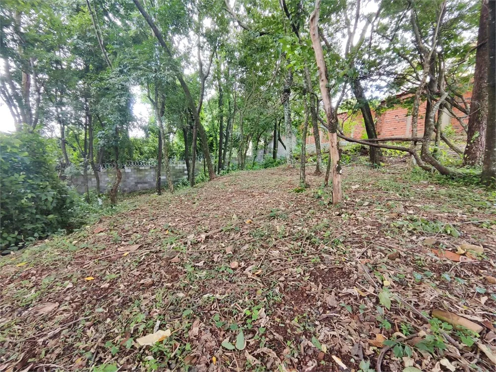 Terreno, 2444 m² - Foto 4