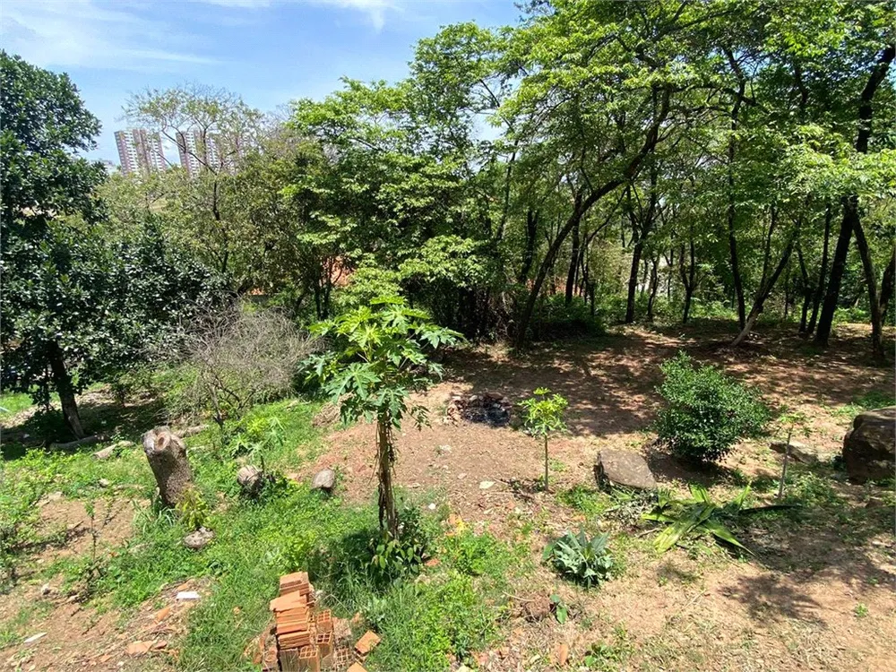 Terreno, 2444 m² - Foto 2