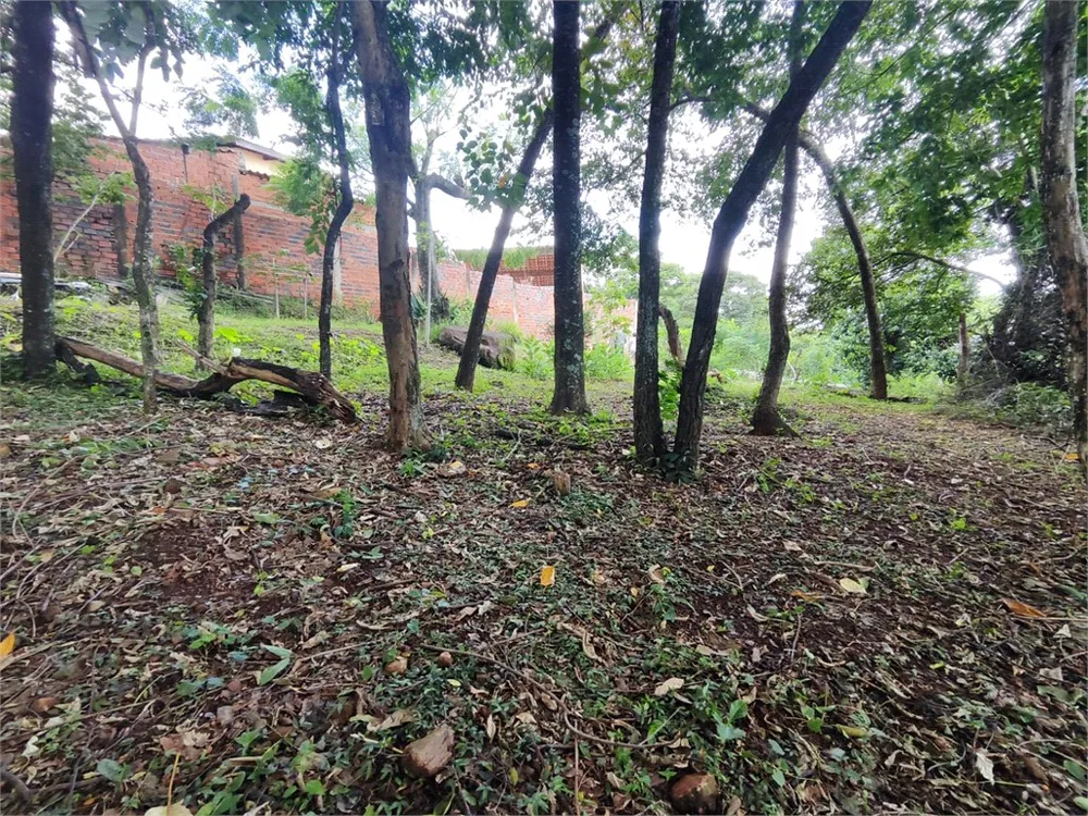 Terreno, 2444 m² - Foto 5