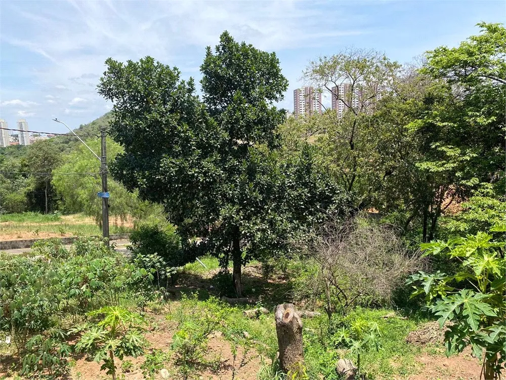 Terreno, 2444 m² - Foto 8