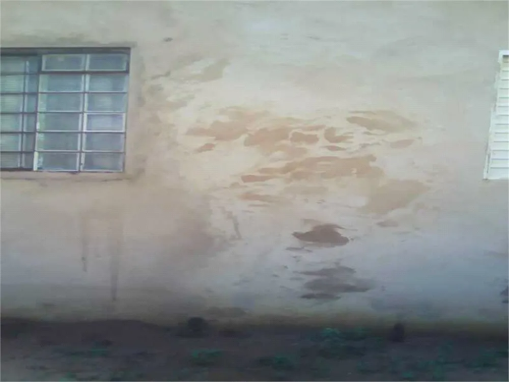 Casa, 2 quartos, 80 m² - Foto 5
