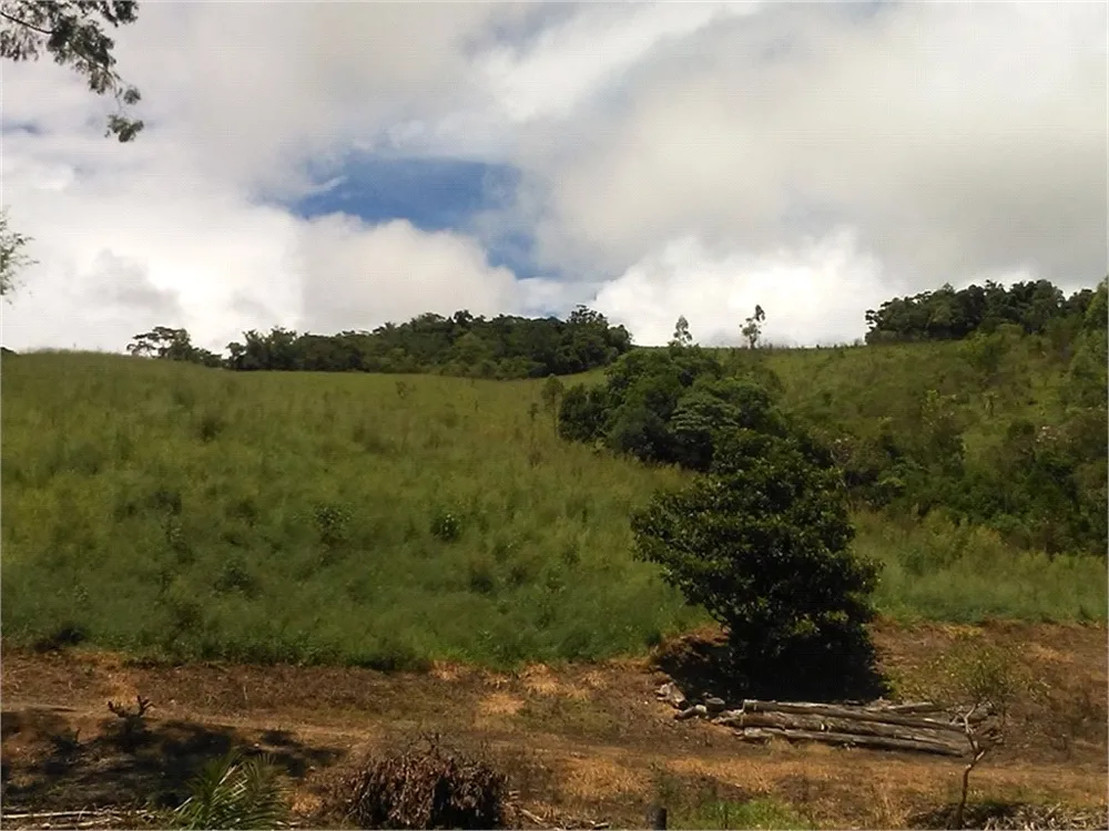 Terreno, 12 hectares - Foto 6