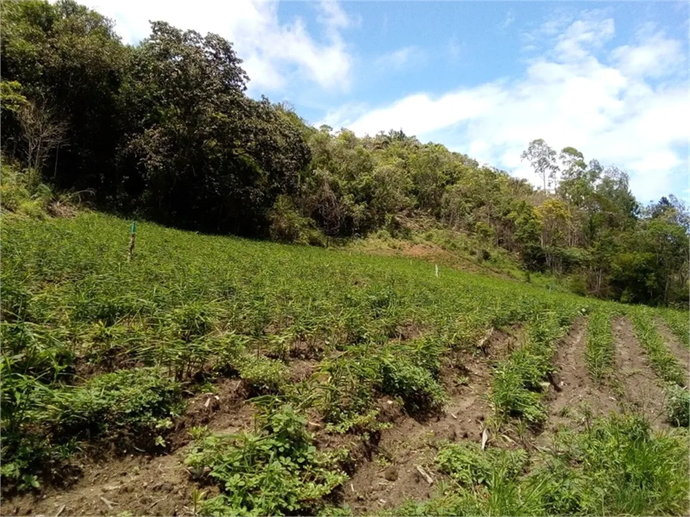 Terreno, 12 hectares - Foto 7
