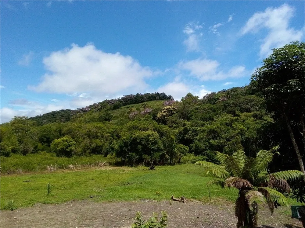 Terreno, 12 hectares - Foto 2
