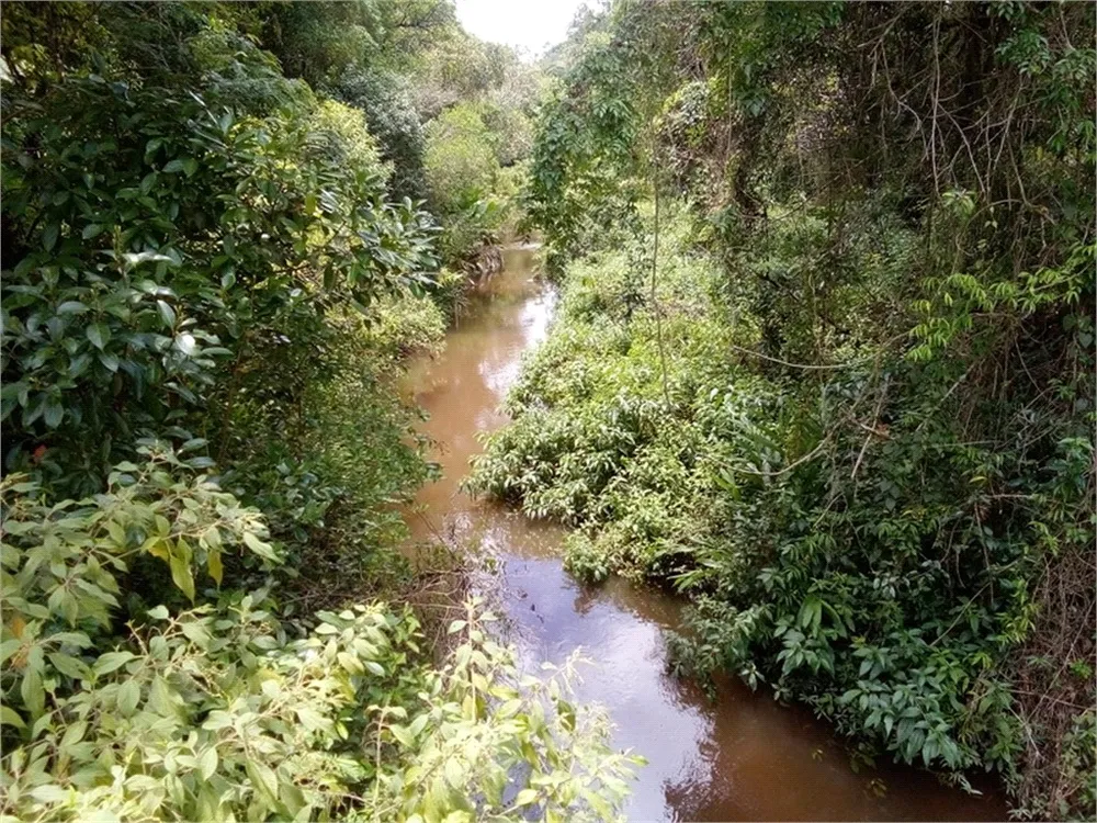 Terreno, 12 hectares - Foto 8