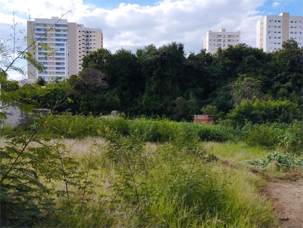 Terreno, 833 m² - Foto 4