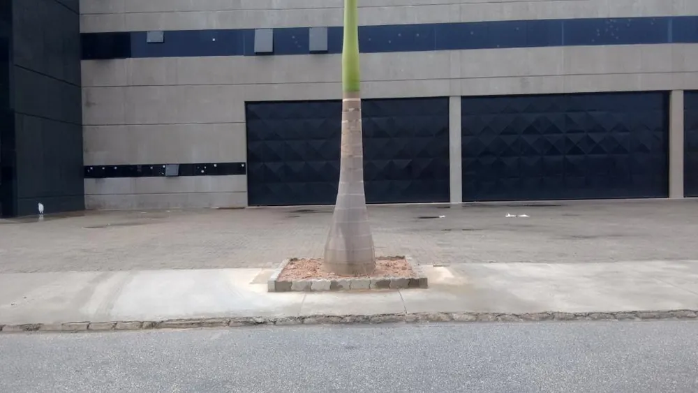 Prédio Inteiro, 2200 m² - Foto 7
