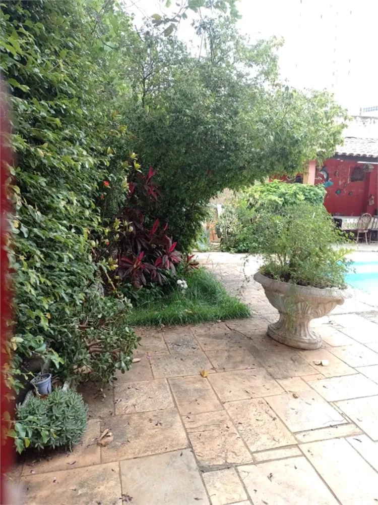 Terreno, 496 m² - Foto 8