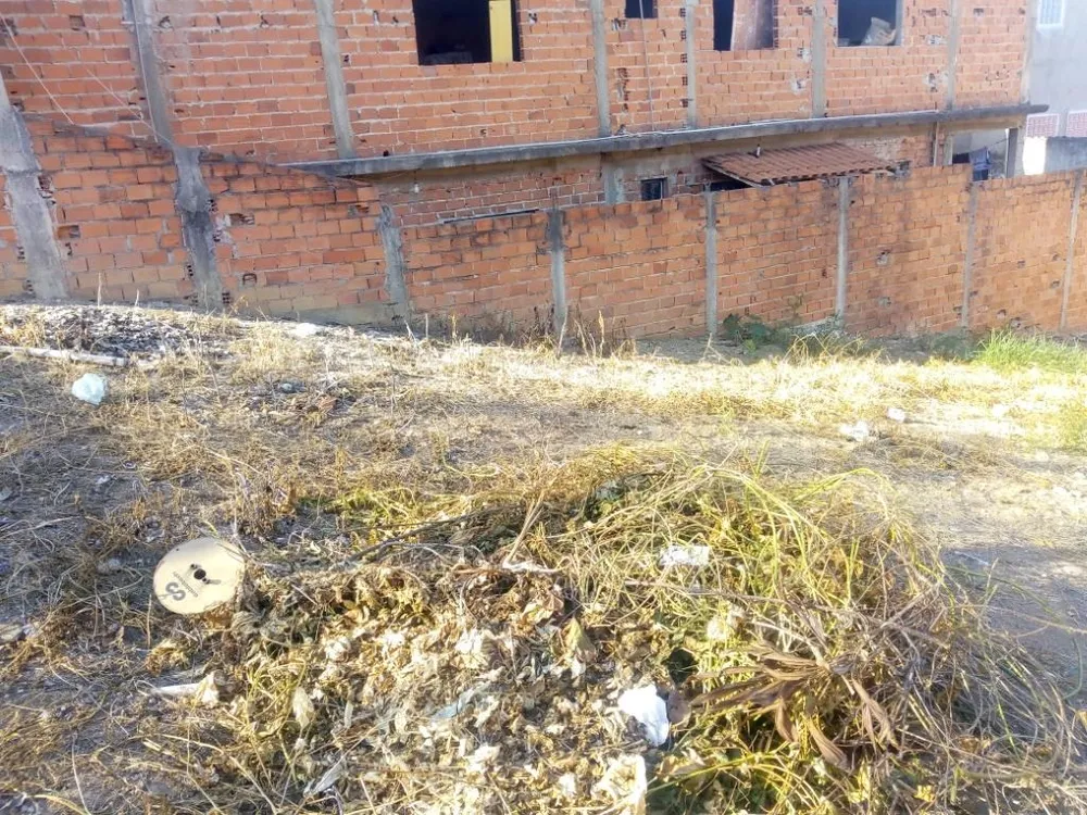 Terreno, 250 m² - Foto 4