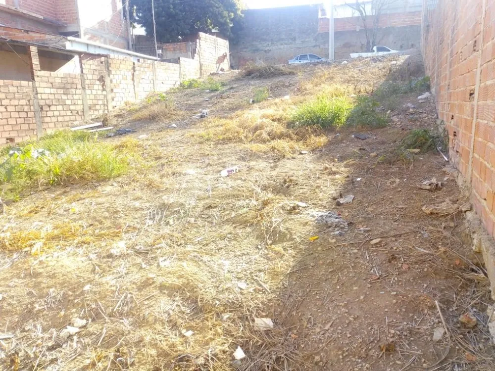 Terreno, 250 m² - Foto 6