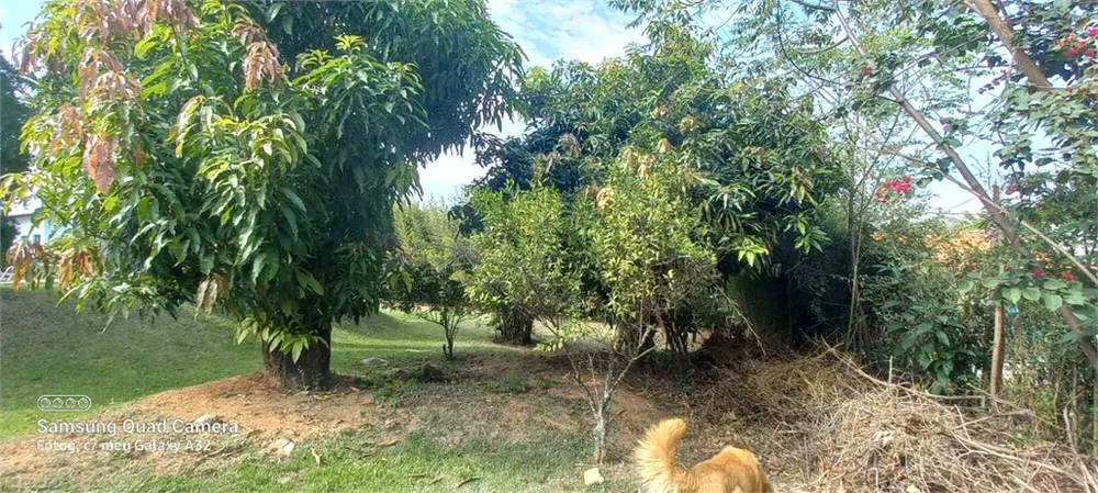 Loteamento e Condomínio, 1000 m² - Foto 5