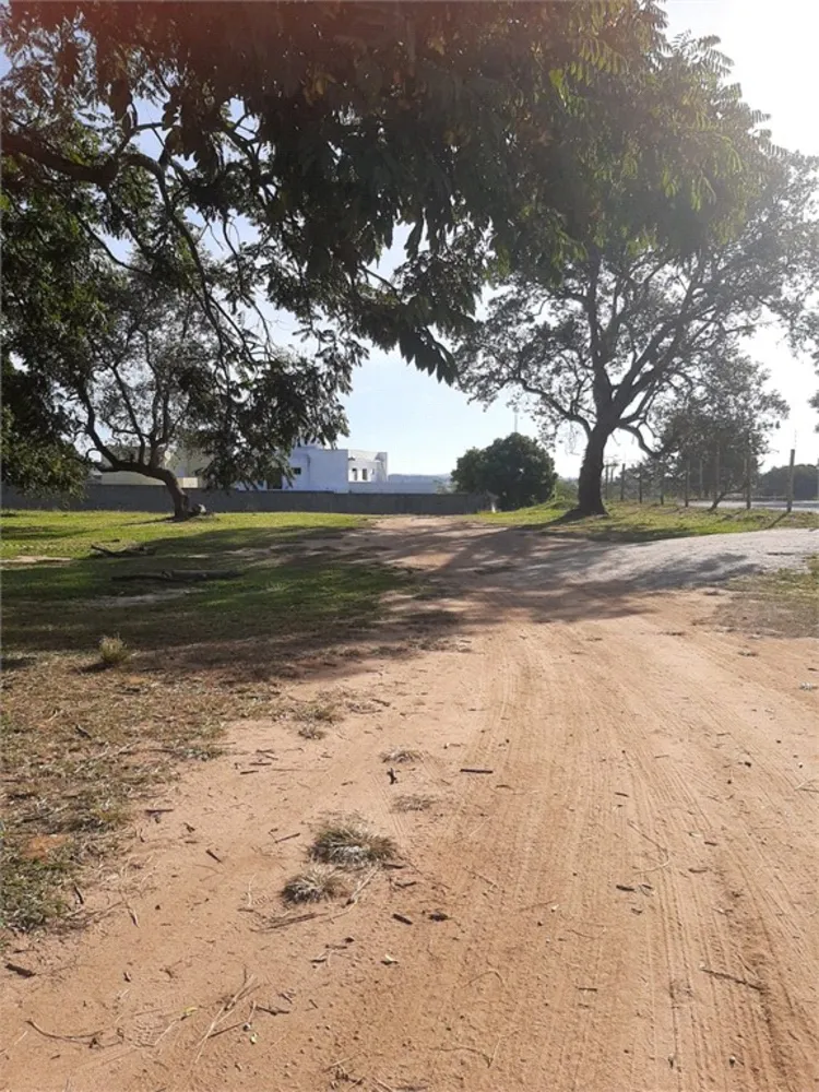 Terreno, 7 hectares - Foto 7