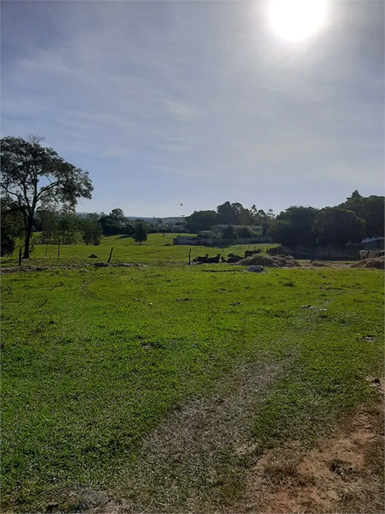Terreno, 7 hectares - Foto 4