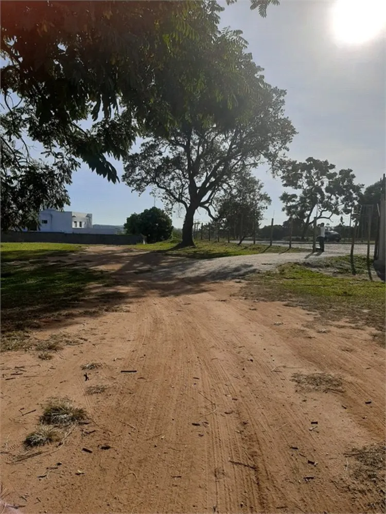 Terreno, 7 hectares - Foto 6