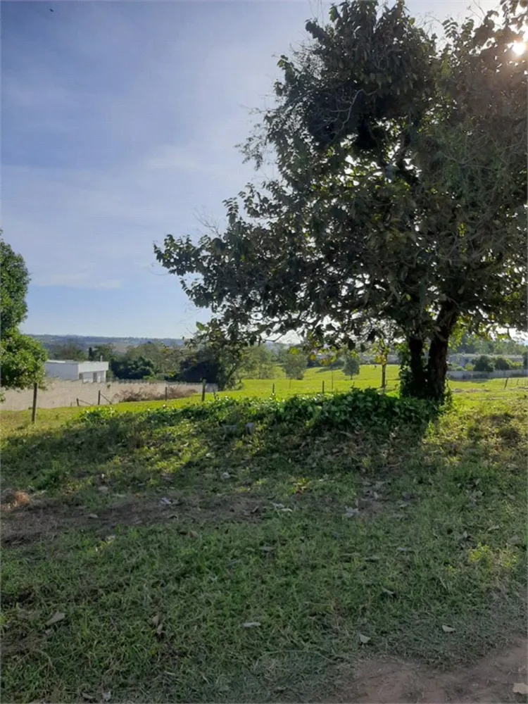 Terreno, 7 hectares - Foto 3