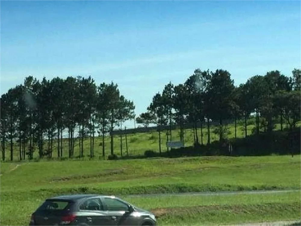 Terreno, 1 hectares - Foto 6