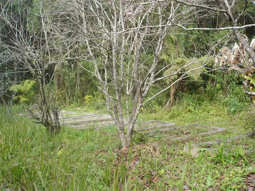 Terreno, 7 hectares - Foto 6