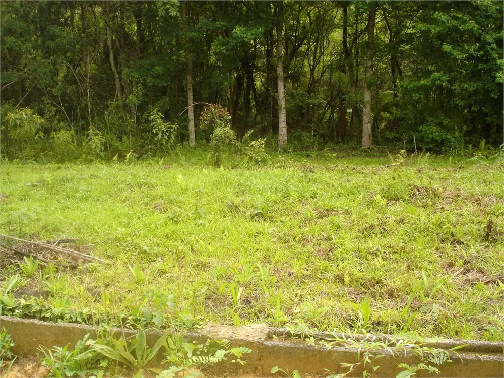 Terreno, 7 hectares - Foto 1