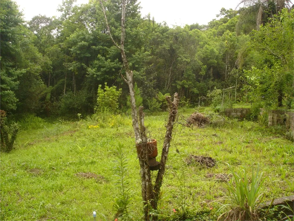 Terreno, 7 hectares - Foto 3