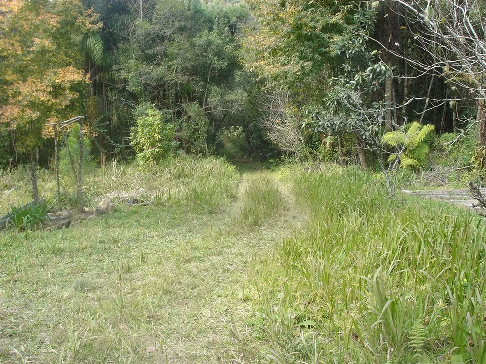 Terreno, 7 hectares - Foto 7