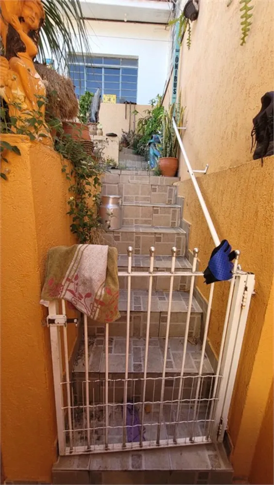 Casa, 5 quartos, 250 m² - Foto 4